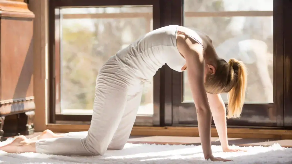 Yoga for Beginners
